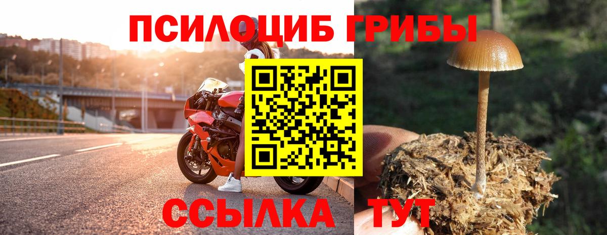 Галлюциногенные грибы GOLDEN TEACHER Кингисепп