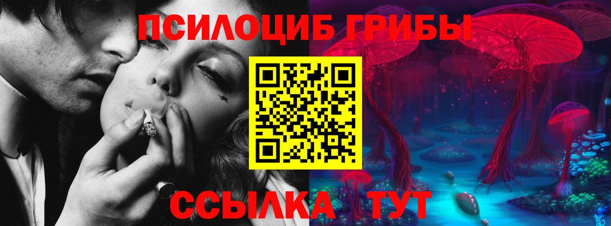 Галлюциногенные грибы Cubensis  Вход с VPN  Псилоцибиновые грибы мицелий  Кингисепп 